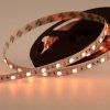 Lamper 141-389 Лента светодиодная 12В, SMD5050, 14,4Вт/м, 60 LED/м